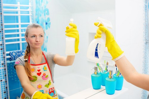 Professional sofa cleaning in a Blackheath SE3 living room