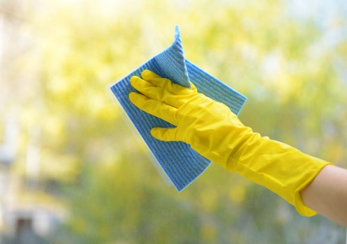 Professional move-out cleaning for a property in SE3