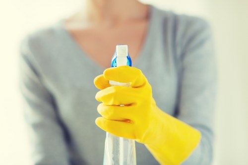 Kitchen and bathroom maintenance during regular cleaning in SE3