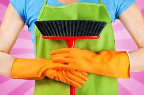Curtain cleaning process for a local SE3 property interior