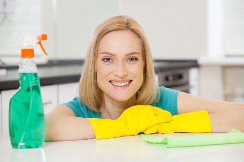 Professional window cleaning for SE3 homes and flats