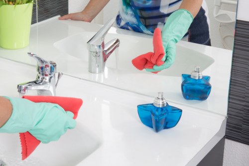 Commercial regular cleaning for an SE3 office