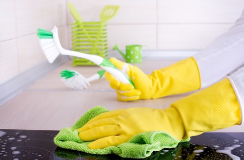 Cleaner working in a period home in SE3 with careful attention to detail