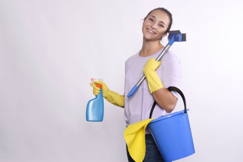 Close-up of SE3 carpet cleaners treating a stain on a soft floor covering