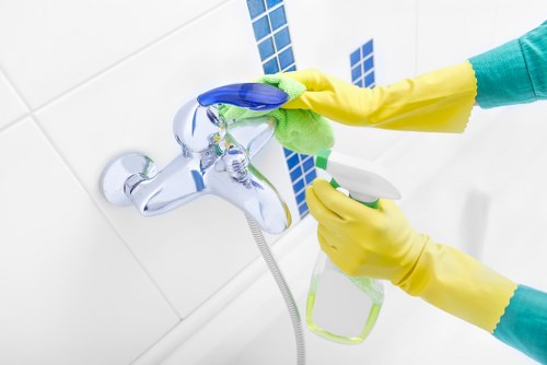 Cleaning oven racks and shelves during an SE3 appointment