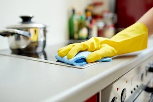 Residential and commercial gutter cleaning service across SE3 with thorough debris removal