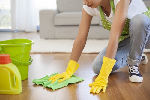 Trained carpet cleaner inspecting flooring before cleaning in SE3