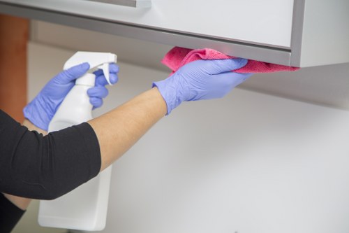 Deep cleaning treatment for pet odours in a Blackheath property
