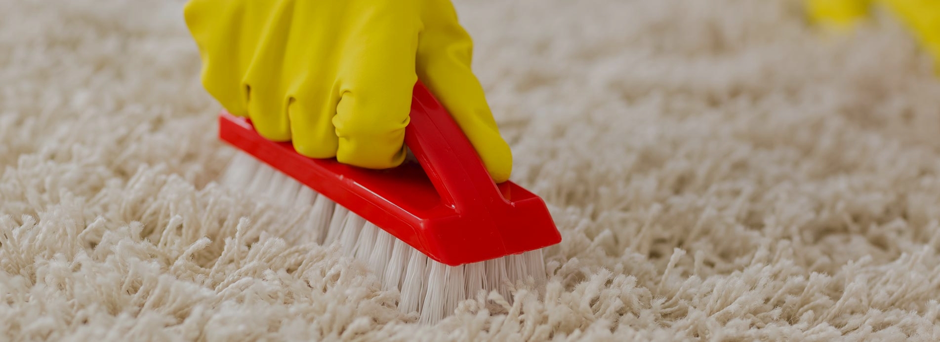 Carpet Cleaners SE3